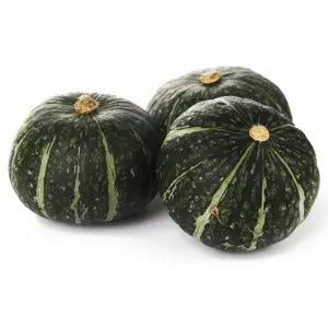 뉴질랜드 청정 햇 단호박 5kg