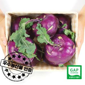 우수농산물 GAP 인증 당일 수확 제주 콜라비 5kg