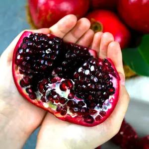 실속형 미국 생석류 5kg (10-15입)