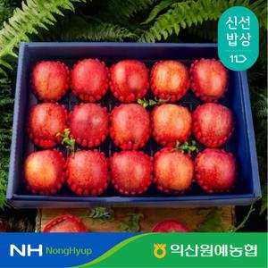 [익산원예농협] 사과 프리미엄 명절 선물 세트 5kg 특 16과 내외