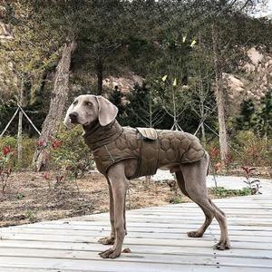 대형견 패딩 두꺼운 겨울옷 액세서리 봉제 테디비 큰개옷 웰시코기 후드 코기 대형견옷 작은