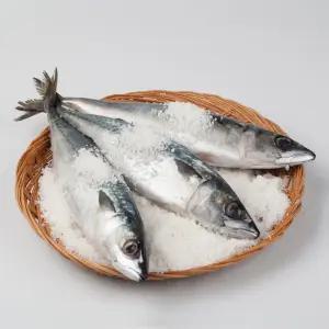 [금손월드] 국내산 자반고등어 2~2.4KG12마리 1팩