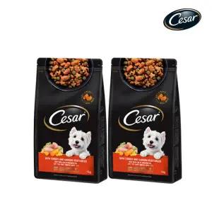 아트박스/시저 시저 가든야채와 칠면조살코기 1KG  2개