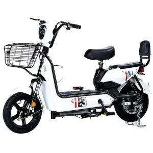 전기스쿠터 자토바이 전기자전거렌탈 부릉이 배달용