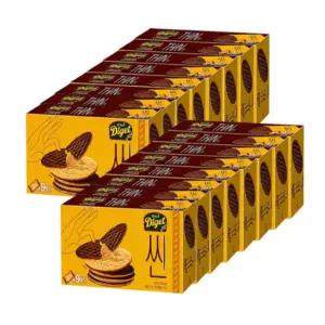 오리온 다이제 씬 252g 16개