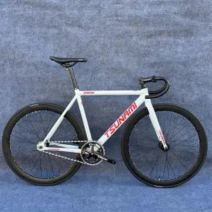 더패스터 쓰나미픽시 완차 쓰나미 snm100