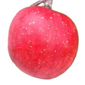 청송 사과 햇사과 부사 고당도 최상급 프리미엄 10kg 30~32과