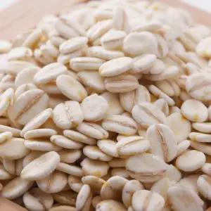 국산 늘보리압맥 4KG 납짝보리 보리쌀-[정성든농수산]