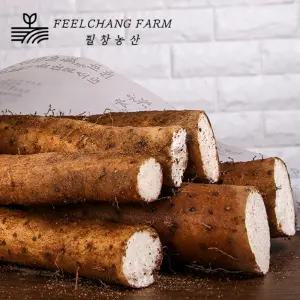 안동마 5kg 참마 장마 산마 깐마 생마 필창농산 산지