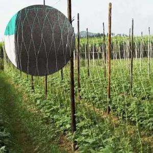 N3293 넝쿨식물 그물망 얇은 울타리망 2MX100M 오이 호박