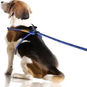 링킹 노 풀 로프 개 하네스 반사 목줄 칼라 3 in 1 홀터 대형 대형견용 조절 가능 (파란색 큰 1/2 인치)