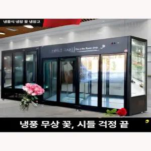 꽃냉장고 꽃쇼케이스 업소용 진열대 카페 쇼케이스냉장고