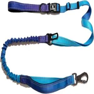 대형견을 위한 번지가 달린 핸즈프리 개 목줄 허리 벨트 및 카시트 벨트(파란색)