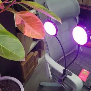 풀 스펙트럼 2헤드 30W 156LED 식물성장 LED조명 풀 스펙트럼 2헤드 30W 156LED 식물성장 LED조명