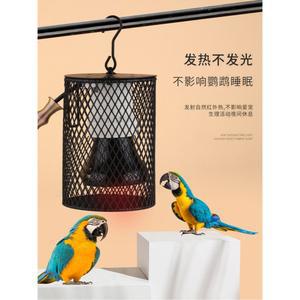 앵무새 파충류 반려조 보온 50W 램프 세라믹 온열 발열 겨울준비 히팅 육추기 히터 도자기 걸이식 전구