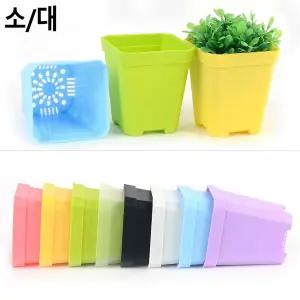 미니 컬러 사각 플라스틱 화분