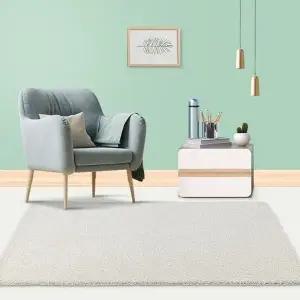 대형 거실러그 카페트 매트 방바닥 매트 겨울용 카페트