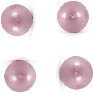 L79 헬스짐볼 55cm 와일드 핑크 통통볼 테스짐볼 임산