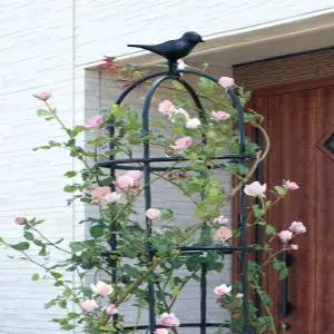 오벨리스크 식물 넝쿨 장미아치 지지대 넝쿨식물