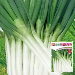 파종자씨앗 아시아장열 80g · 주말농장 텃밭종자 전문농사용씨앗(AS)