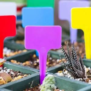 화분이름표 T자형 다육이 꽃 화단 식물 이픔료 퍼플