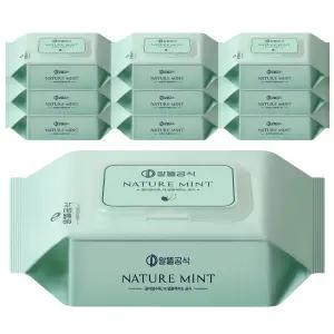 알뜰공식 네이처 민트 물티슈 캡형 100매 10개물티슈 캡티슈 캡형티슈 보습