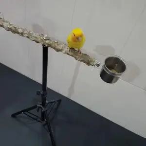 앵무새횟대 나무스탠드형 삼각대 새집 나무길이 스탠드형