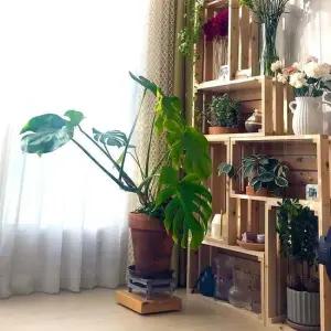 나무선생 삼나무 원목 인테리어 다용도 공간박스