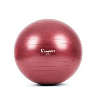 L79 마사지짐볼 75cm 루비 홈트 전신운동 임산부 맛사