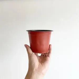 지름 120호 모종화분 11.7cm 이색포트 이색 화분 분갈