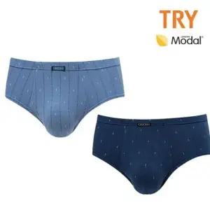 TRY 남성 삼각팬티 남자 모달 위버 브리프 2매 속옷 WBF9DAD