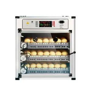 병아리육추기 병아리 계란 곰 부화기 알 달걀 닭