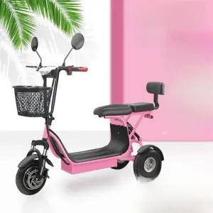 자전거 삼륜 스쿠터 어르신 준서 접이식 전기 세발 워커