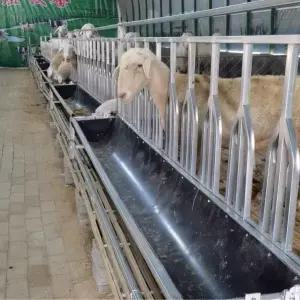 염소 밥통 먹이통 축사 식수 여물 여물통 목장 새끼 사료통 닭 공급기 급여기 배식 대형