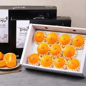 농협 정품 프리미엄 한라봉 천혜향 레드향 과일 선물세트