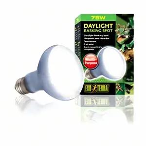 파충류 스팟 램프 데이라이트 75W 식물 광합성 온도계 열선 조명 생태계 적색 광 수조