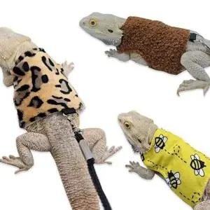 외출복 도마뱀 하네스 가슴 파충류 겨울 옷 목줄 리드