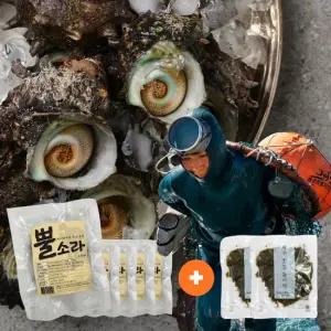 100 제주 자숙 손질 뿔소라 100g X 5팩 25 40) + 생생 돌미역200g X 2팩