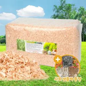 힐링 대용량 편백나무 베딩 2.5kg 햄스터 바닥재 톱밥