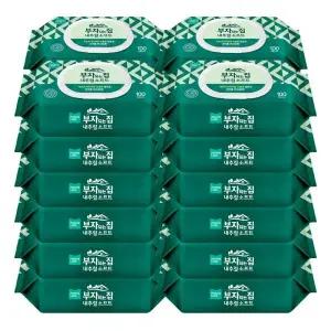 부자되는집 내추럴 소프트 물티슈 캡형 100매 24팩