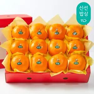 [탐라왕] 천혜향 2.5kg 선물세트 중과, 대과