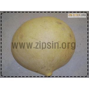 박바가지/바가지/전통박바가지/민속품/생활용품