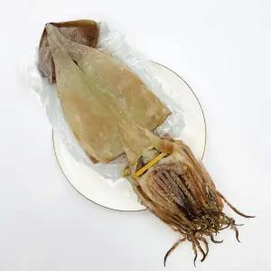 안심포장 반건조오징어 5미 10미