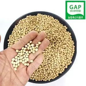 국산 노란콩나물콩 500g