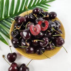 새콤달콤 칠레 겨울 생체리 5kg 26-28mm