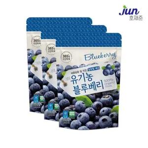 냉동 유기농 블루베리 500g x 3팩