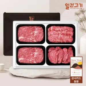 [롯데백화점]일간고기 1등급 암소한우 선물세트 1.6kg (등등채안)