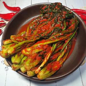 고구려 톡쏘는 갓김치 5kg 10kg 가정용 업소용 수입 중국산