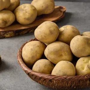 포근포근 국내산 햇 수미감자 5kg 중 휴게소통구이용) 외