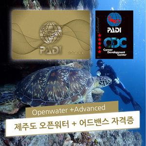 제주도 오픈워터 어드밴스 통합 교육 PADI 스쿠버다이빙 강습 자격증 라이센스